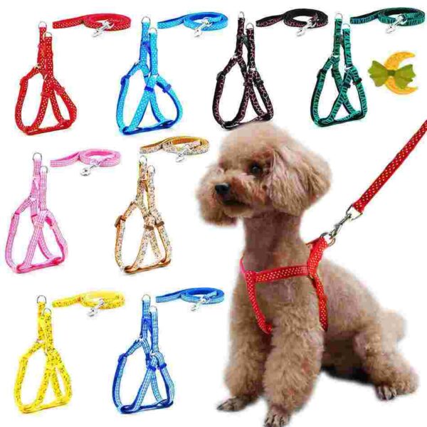 COLLAR-1.jpg