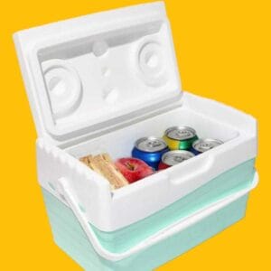 CONSERVADORA HELADERA 6 LITROS