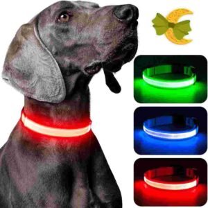 COLLAR PERRO ¨CON LUZ¨ x 1.