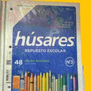 REPUESTO HOJA HUS x 48 "RAYADO"
