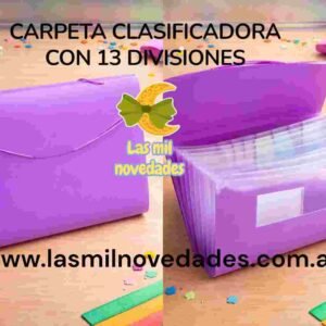 CARPETA ¨CLASIFICADORA¨ CON 13 DIVISIONES