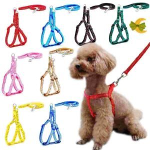 COLLAR PERRO ¨CON CORREA¨ x 1 - Imagen 1