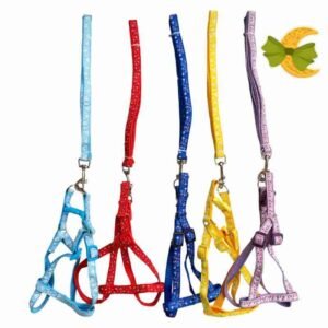 COLLAR PERRO ¨CON CORREA¨ x 1 - Imagen 2