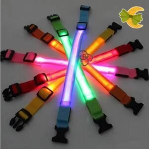 COLLAR PERRO ¨CON LUZ¨ x 1. - Imagen 3